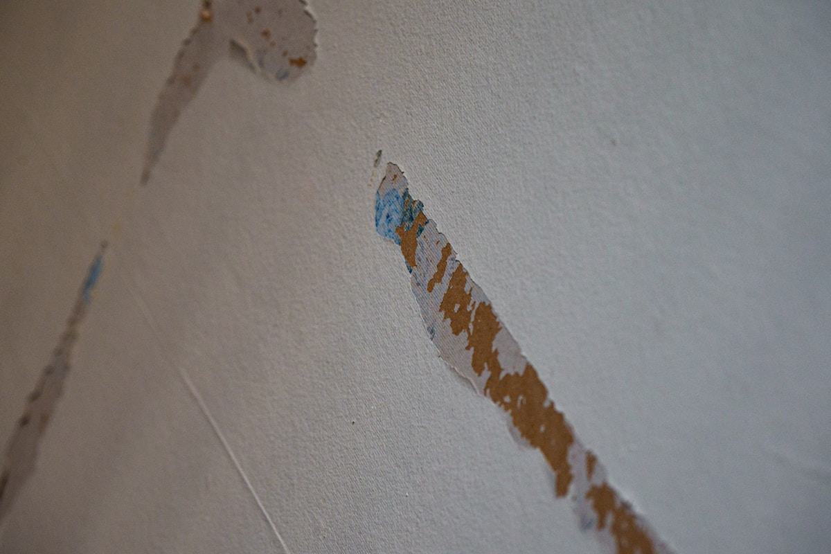 Basement Water Removal service in Brockton, MA